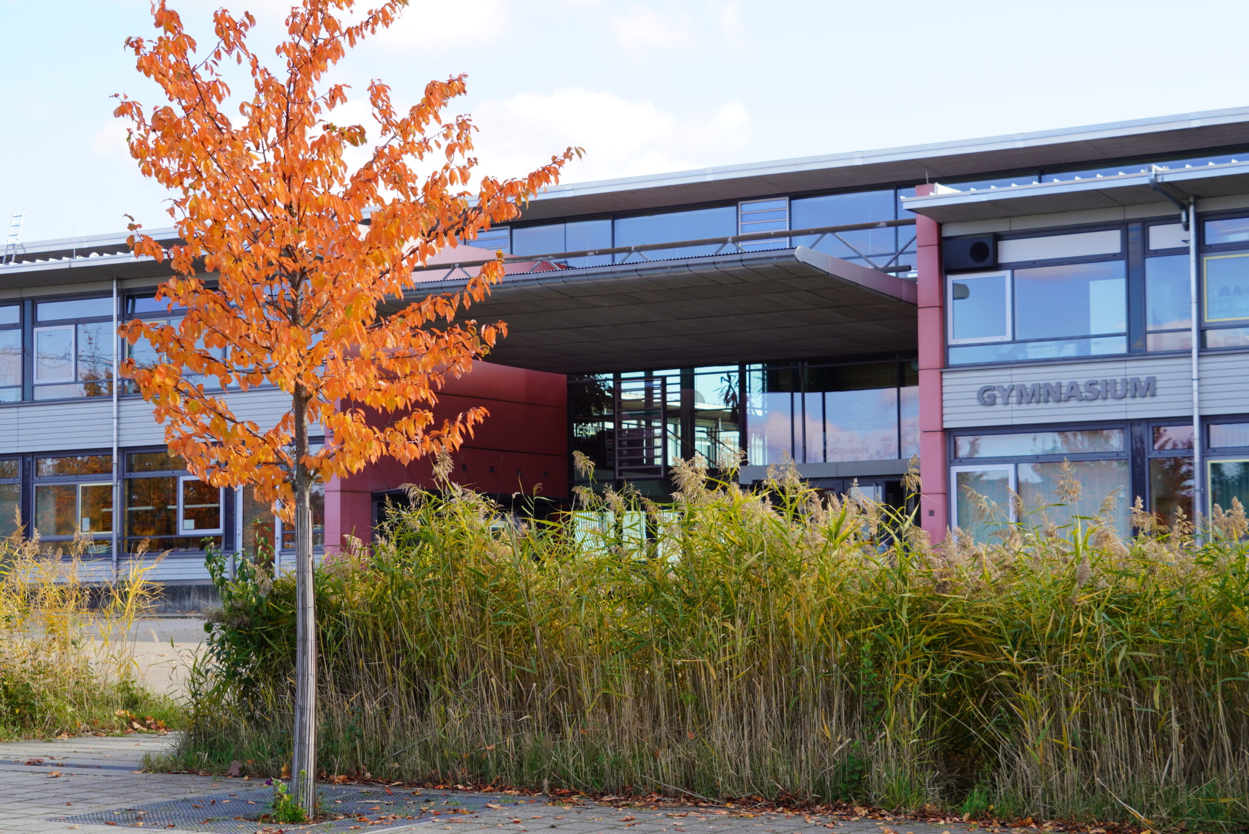 Blick auf Schulgebäude mit Herbstbäumen