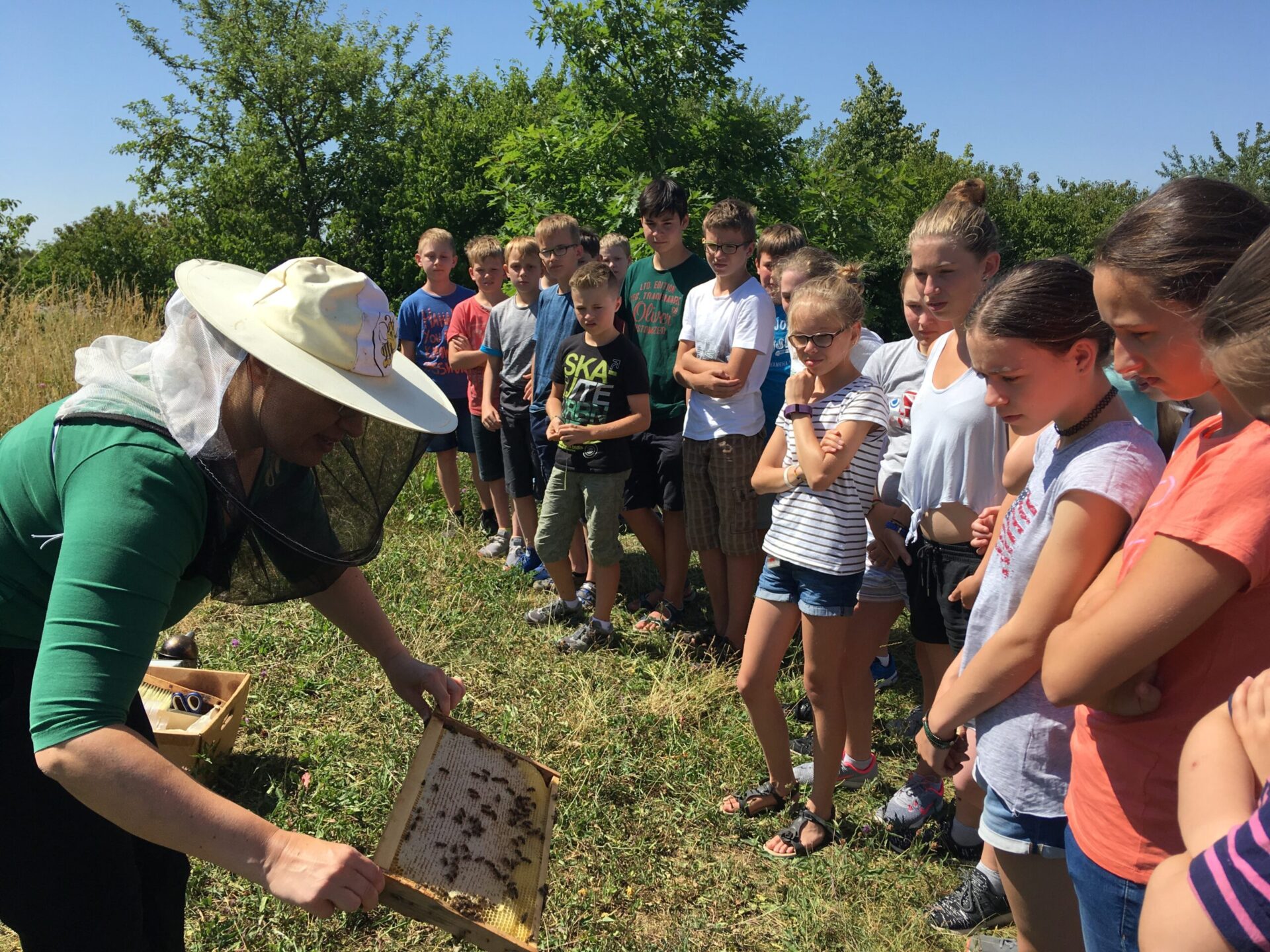 Bienen-AG